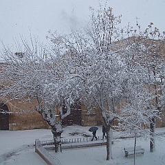 nieve 14 - 12 - 09 112